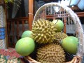 Tn M CAIT 2011 0804